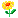 :flower: